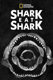 Shark Eat Shark