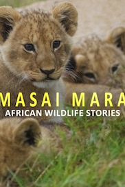 Masai Mara : African Wildlife Stories