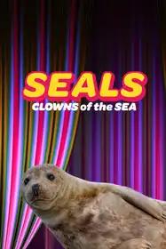 Seals - Clowns of the Sea