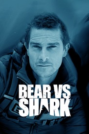 Bear vs Shark