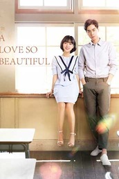 A Love So Beautiful