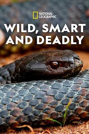 Wild, Smart and Deadly