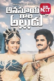 Anasuyamma Gari Alludu