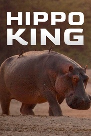 Hippo King