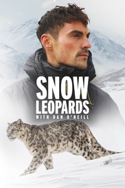 Snow Leopards With Dan O'Neill