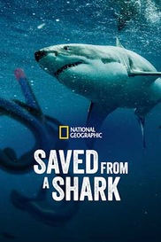 Saved from a Shark