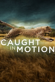 Caught in Motion