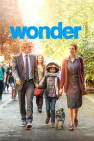 Wonder