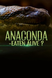 Anaconda: Eaten Alive?