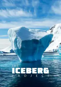 The Iceberg Project
