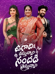 Ugadi Ki Vasthunam Sandadi Testhunam