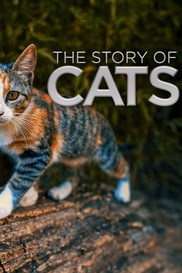 The Story of Cats