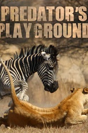 Predator's Playground