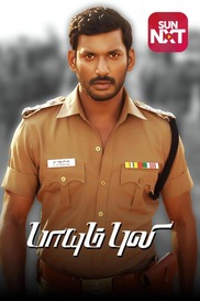Paayum Puli