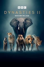 Dynasties