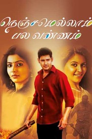 Nenjamellam Pala Vannam