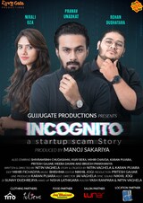 Incognito: A Startup Scam Story