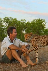 Man, Cheetah, Wild