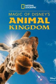 Magic of Disney's Animal Kingdom