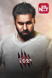 Panjaa