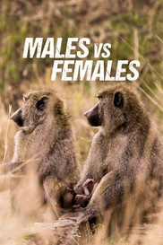 Males Vs Females