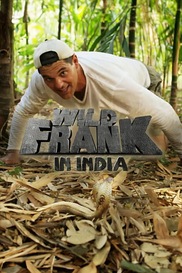 Wild Frank In India