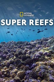 Super Reefs