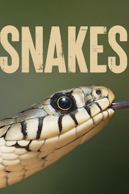 Snakes
