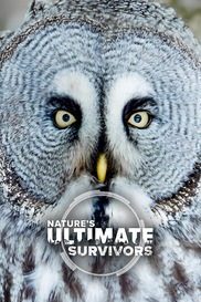 Nature’s Ultimate Survivors