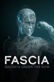 Fascia: Secrets under the Skin