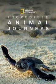 Incredible Animal Journeys
