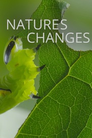 Nature's Changes