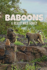 Baboons: A Really Wild Family