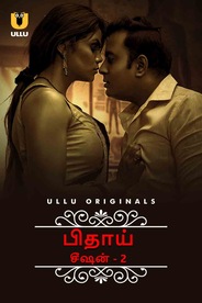 Bidaai - Season 2 - Tamil