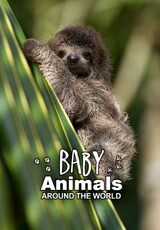 Baby Animals Around the World