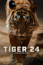 Tiger 24