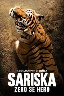 Sariska Tiger Reserve: From Zero to Hero