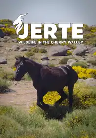 Jerte, Wildlife in the Cherry Valley