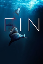 Fin