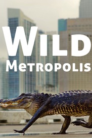 Wild Metropolis