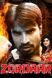 Zordaar