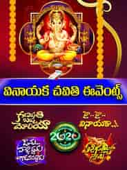 ETV Vinayaka Chavithi Events