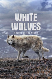 White Wolves: Ghosts of the Arctic