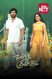 Meghalu Cheppina Prema Katha