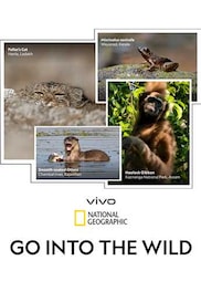 vivo GO INTO THE WILD