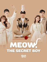 Meow, the Secret Boy