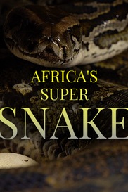Africa's Super Snake