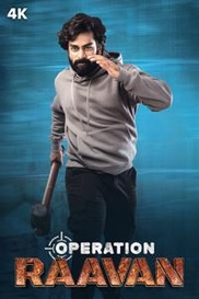 Operation Raavan