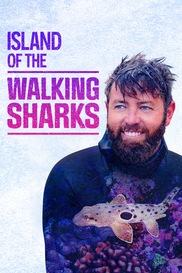 The Island of the Walking Sharks