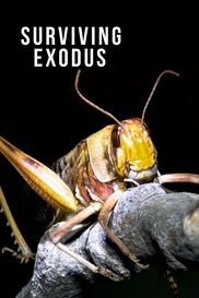 Surviving Exodus